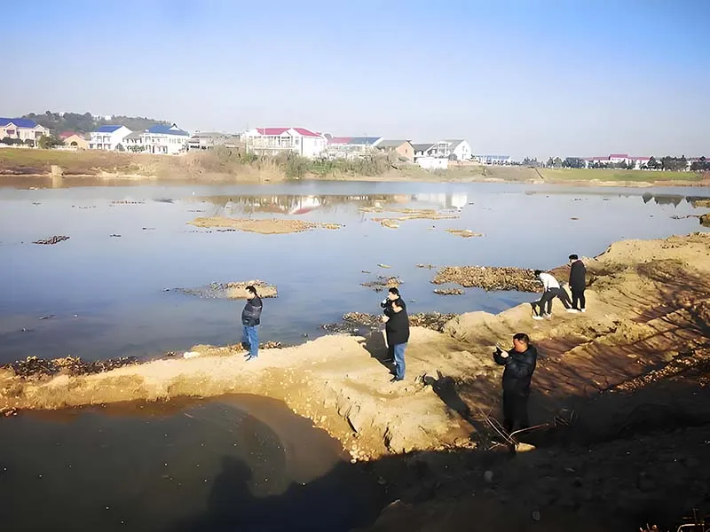 On-site Survey
